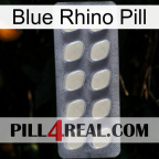 Blue Rhino Pill 08